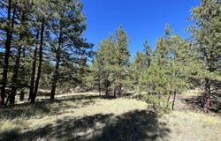 82 Kiowa Cir, Westcliffe, CO 81252