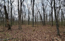 TBD CR 4280, Salem, MO 65560