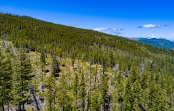 000 Forest Rte 4N20, Hyampom, CA 96046