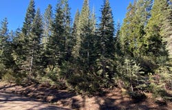 4-L-6 Winding Way, McCloud, CA 96057