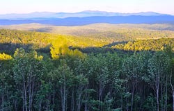600 Davidson Drive, Walden, VT 05873
