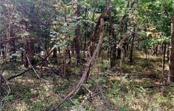 9 Enchanted Lane, Linn Valley, KS 66040
