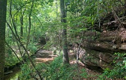 NIX Rd, Nauvoo, AL 35578