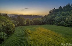 7513 Boylston Highway, Mills River, NC 28759