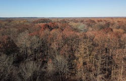 White Oak Drive, Arkadelphia, AR 71923