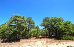 CR 4552, Winnsboro, TX 75494