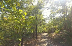 Diamond Rose Lane, Mena, AR 71953