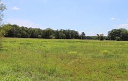 4015 Dave Ward Drive, Conway, AR 72032