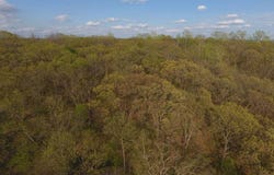 1 Holt 340, Forbes, MO 64473