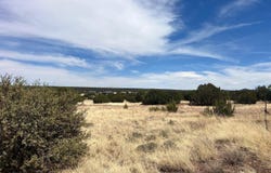 1985 Tee Street, White Mountain Lake, AZ 85912