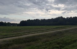 463 County Road 352, Piggott, AR 72454