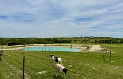 1313 County Road 266, Gustine, TX 76455