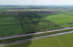 S Hwy 82, Abbeville, LA 70510