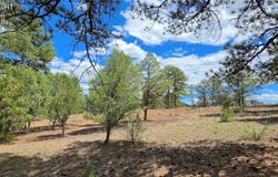 638 Keith Lane, Cotopaxi, 81223
