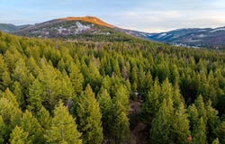 260 Wild Horse Trail, Kila, MT 59920