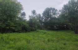 45 Ponder Rd, Elsberry, MO 63343