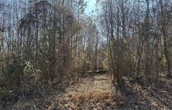 Blairs Chapel Road, Jackson, TN 38301