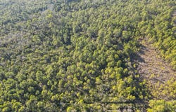 Sugar Bowl Ln., Longs, SC 29568