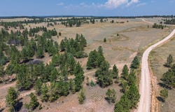 40 acres Farmer Road, Custer, SD 57730