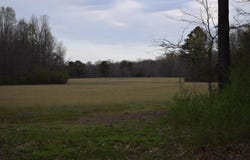 HWY 193 Rd, Williston, TN 38060