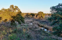 6540 County Rd 409, Llano, TX 78643