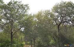 Powder Ridge lot: 66, Luling, TX 78648