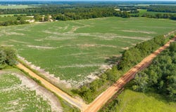 001 Morrison Rd., Wigham, GA 39897