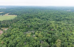 Pretty Road, Springbrook, WI 54875