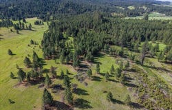 E Belmont Rd, Mica, WA 99023