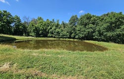 5383 Cowan Ridge Road, Powell, MO 65730