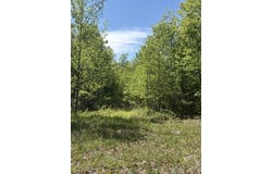 DAVIS Lane, ARODA, VA 22709