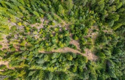 435 Nowhere Rd, Priest River, ID 83856