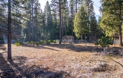 Serpentine Lane, Burney, CA 96013