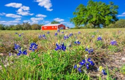 125 Headwaters Dr, Mountain Home, TX 78058