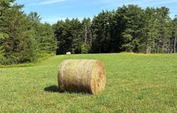 379 Stryker Road, Gilboa, NY 12076