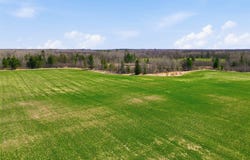 N4280 County Road E, Bruce, WI 54819