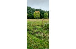 Parcel 253-16 Exeter Road, Lebanon, CT 06248