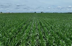120th Street, Corydon, IA 50060