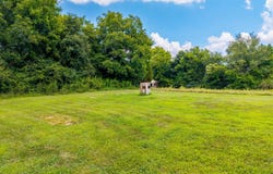 6389 US-411, Greenback, TN 37742