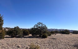 Lot 174 Pinon Springs, Magdalena, NM 87825