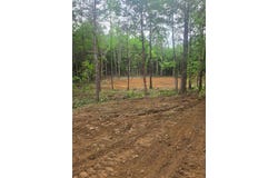 County Road 66, Eldridge, AL 35554