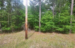 Dianthus Drive, Sparta, GA 31087