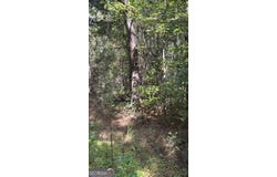 230 Dodgen Road, Hampton, GA 30228