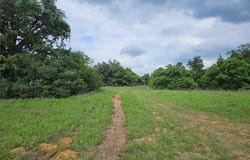 8912 C R 322, Milano, TX 76556