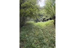 226 Madison's Fork, Banner, KY 41603
