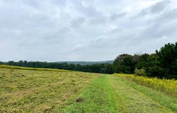 1.9 Brigham Rd, Richford, NY 13835
