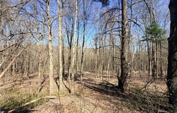 Fitzgerald Road, Burdett, NY 14818