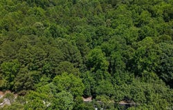 Wilderness Road, Greenbrier, AR 72058