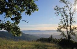 Mendocino Pass Road, Covelo, CA 95428