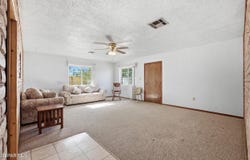 185 Elfego Road, Anthony, NM 88021